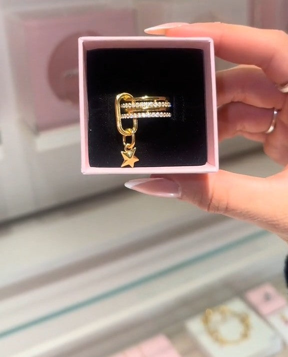 Shiny Colorfast Ring, Pendant Detail