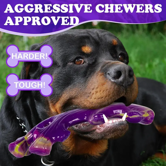 Robustes, ungiftiges Hundespielzeug aus Nylon für aggressive Kauer, 3er-Pack 